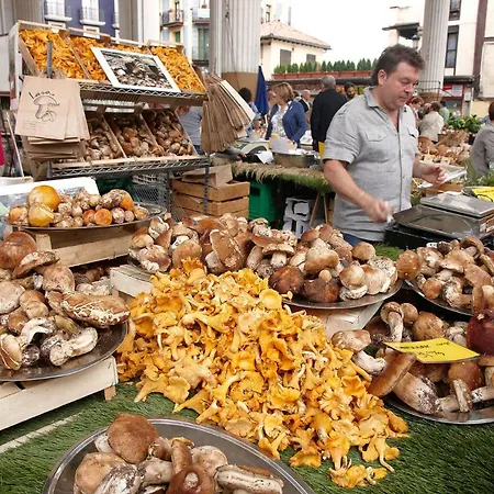 Aterian Loft 2 Lejlighed Zarautz