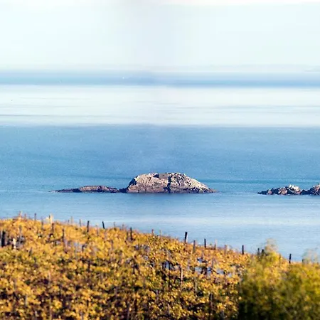 Lejlighed Aterian Loft 2