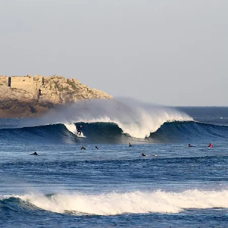 公寓 Aterian Loft 2 扎鲁亚斯