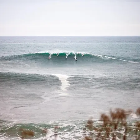 公寓 Aterian Loft 2 *