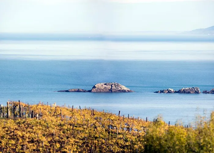 アパート Aterian Loft 2