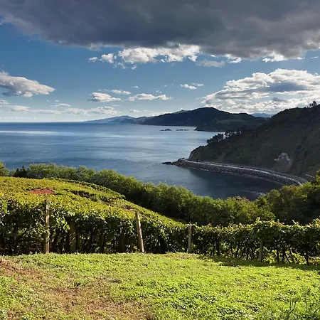 Aterian Loft 2 Διαμέρισμα Zarautz