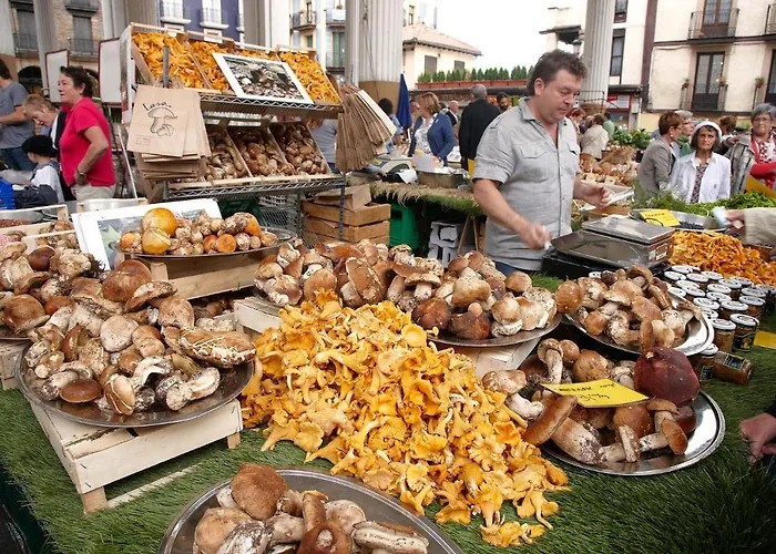 Aterian Loft 2 Lejlighed Zarautz